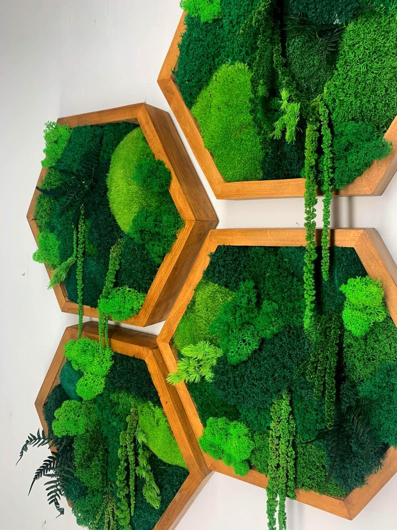 Moss Hexagons