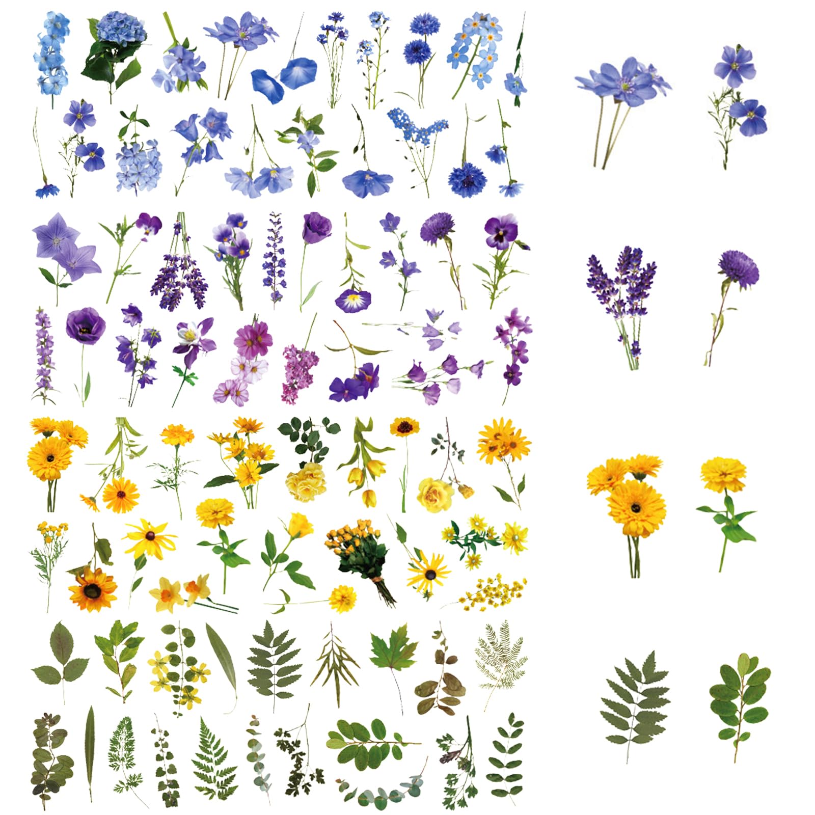 160 sztuk naklejki na rośliny kwiatowe Scrapbooking Scrapbooking Naturalne naklejki roślinne PET zestaw przezroczystych naklejek kwiatowych na notatnik do scrapbookingu listów