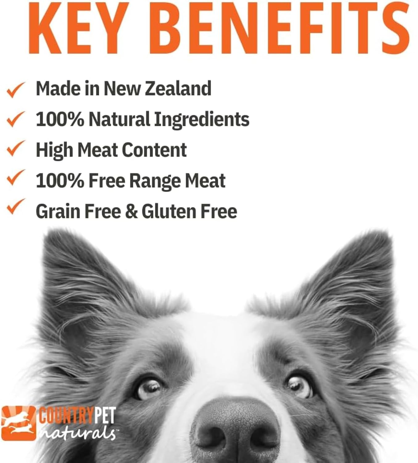 New Zealand Grass Fed Beef Dog Food, 13oz Grain Free, High Protein, No Antibiotics, No Hormones, No Gluten. for All Life Stages (9 Cans/Tray)