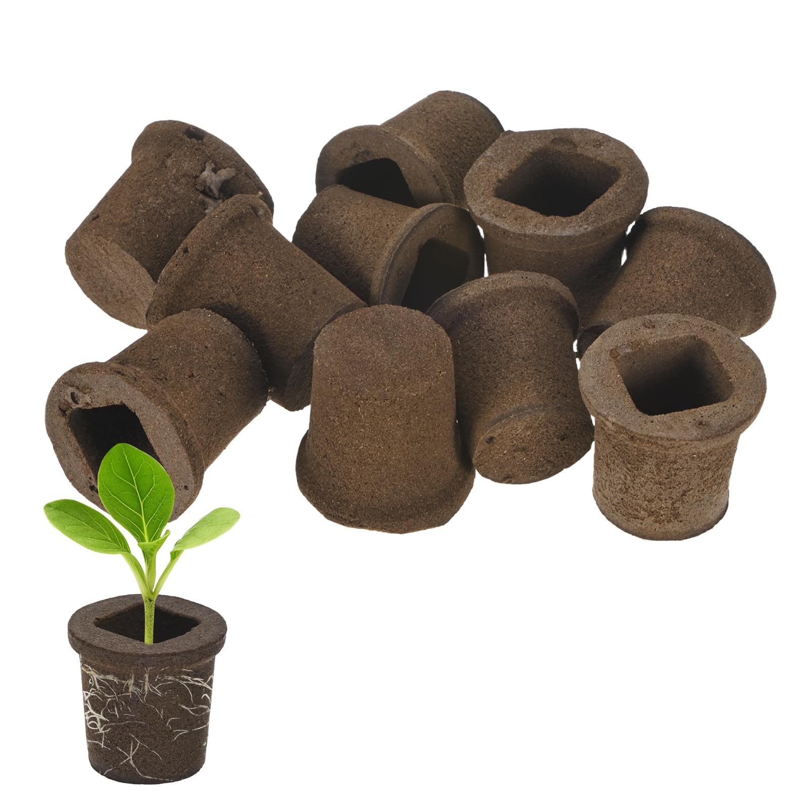 M METERXITY 10-Pack Grow Sponges Seed Pods 2.2x1.6x2in for Plant