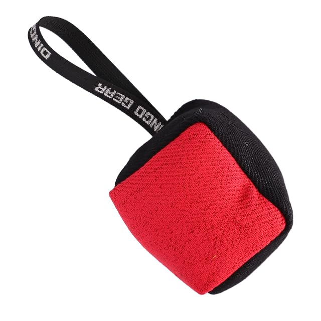 Dingo Gear - Juguete para perros (10 x 10 cm), color negro y rojo