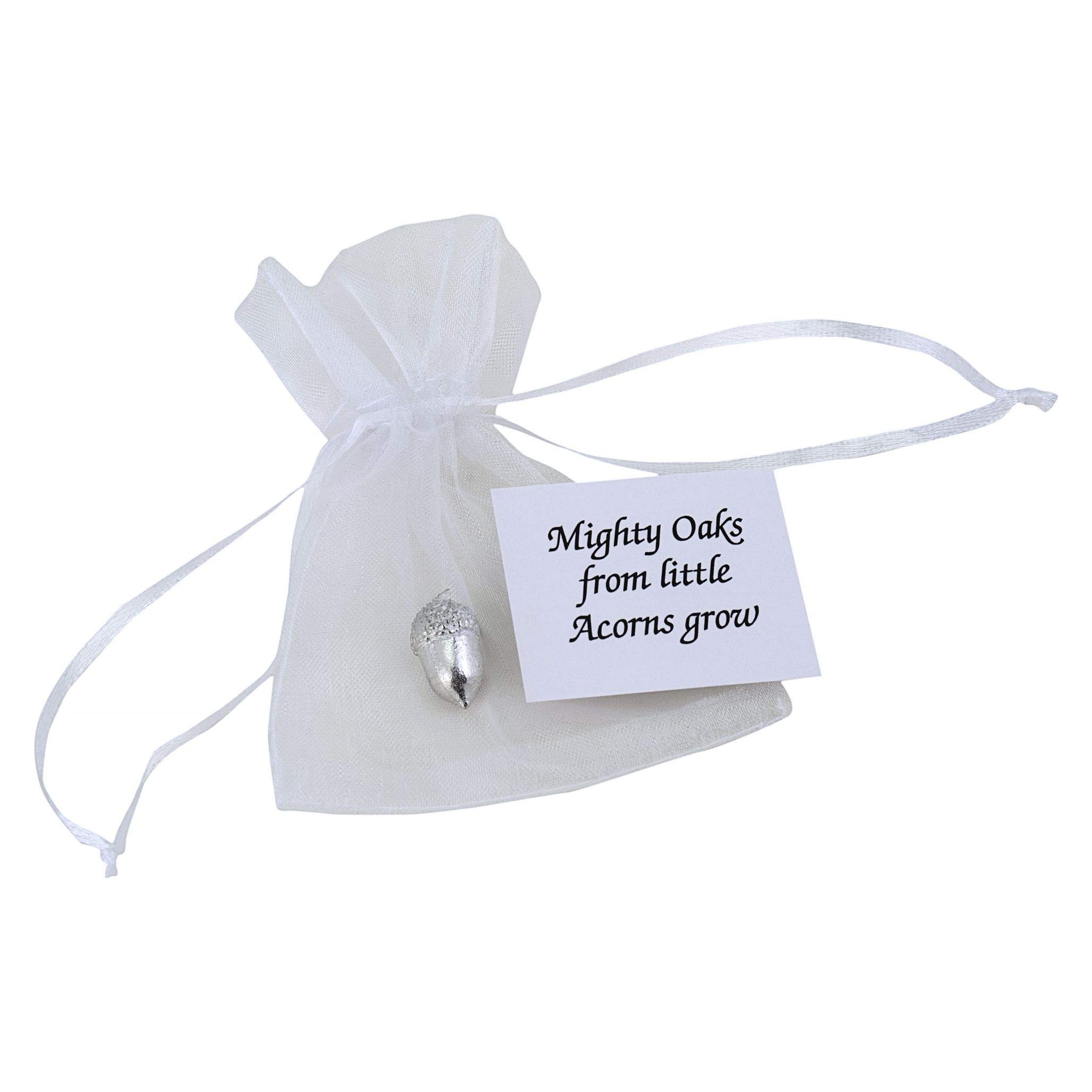 Pewter Acorn Pocket Charm with Gift Bag & Card. Gift message card reads 'Mighty oaks from little acorns grow ...'