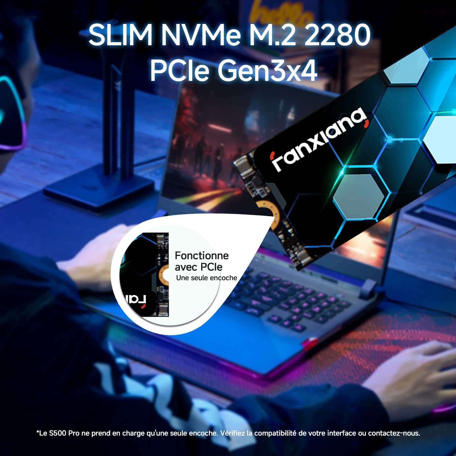 fanxiang SSD NVMe 256Go SSD M.2 PCIe Gen3.0x4 2280 Disque SSD Interne 256Go, Jusqu'à 3000Mo/s en Lecture - Compatible avec Notebook, Desktop, PC(S500Pro)
