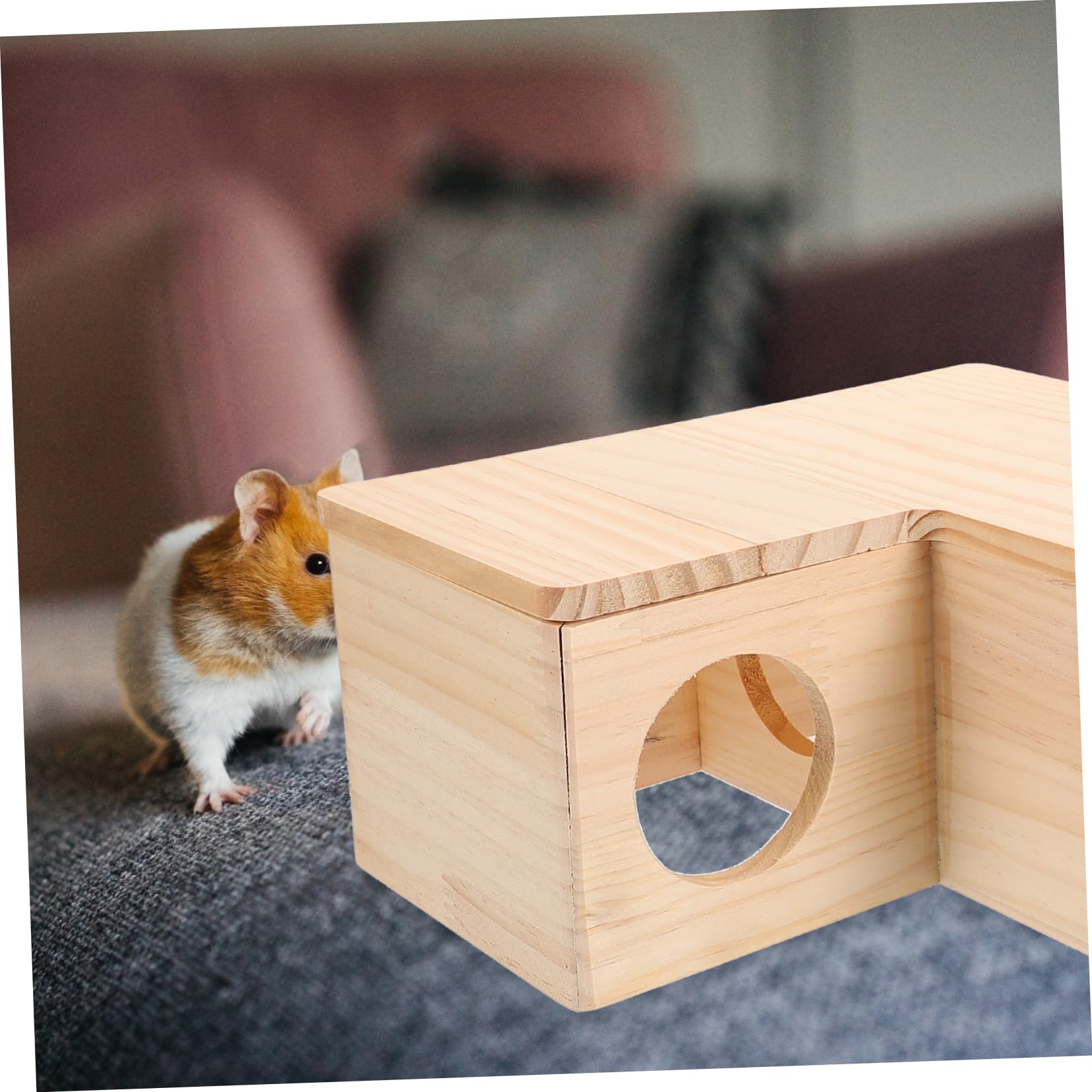 SUPVOX Maison pour Hamster Naturel Tunnel pour Hamster à Plusieurs Chambres Maison pour Rat