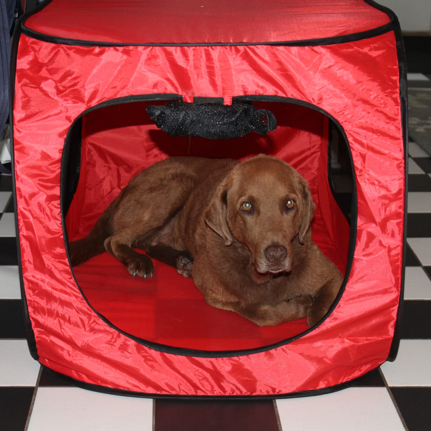 pop up dog kennel