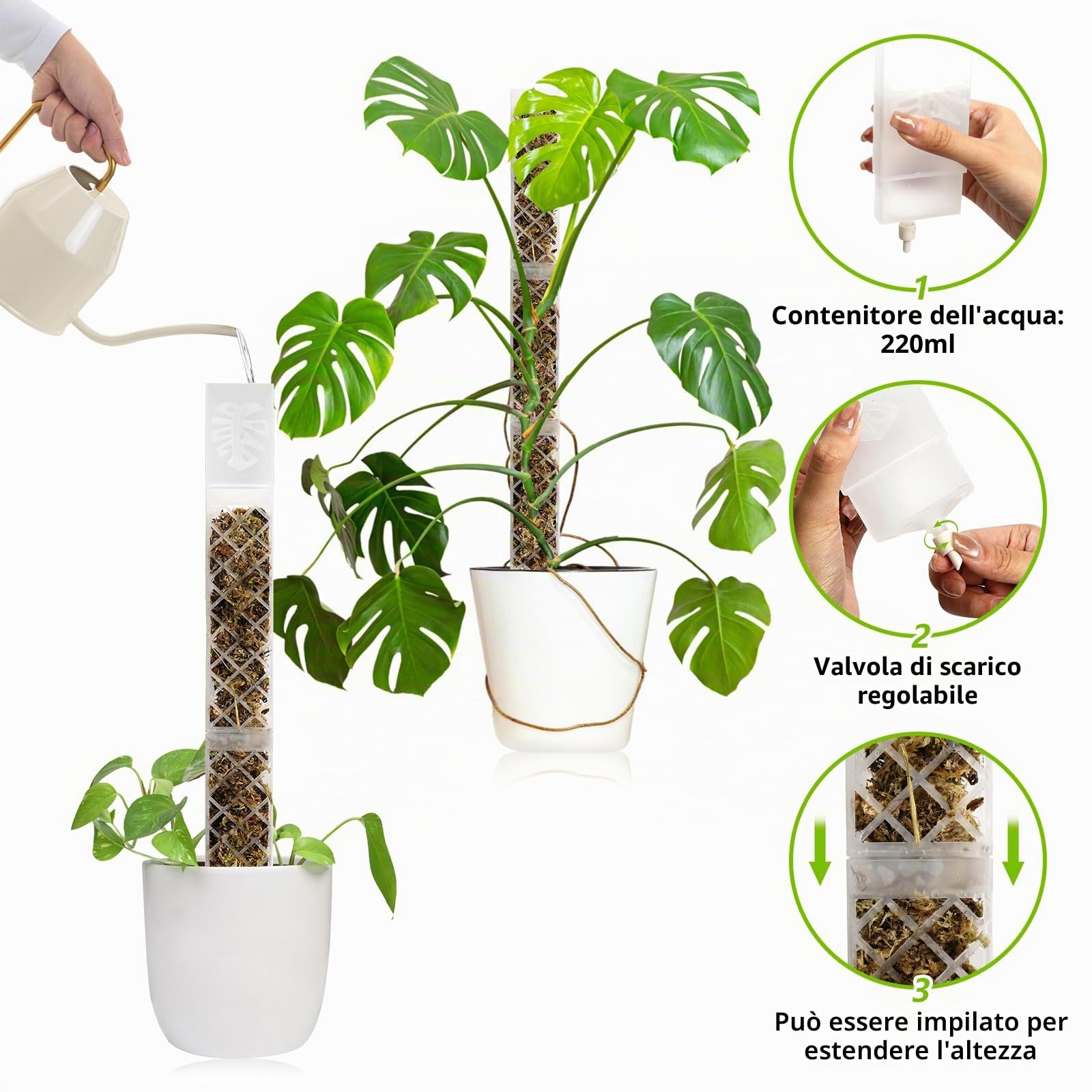 Moss Pole di Plastica, 4 Pezzi 35 cm (Palo per Piante Rampicanti + Inserimento a Terra) + 150 g Muschio, Palo di Sfagno per Piante Rampicanti da Interni ed Esterni, Sostegno per Piante