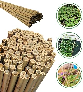 120 Cm Natural Bamboo Plant Support Rod 10 Pieces 5-10 mm