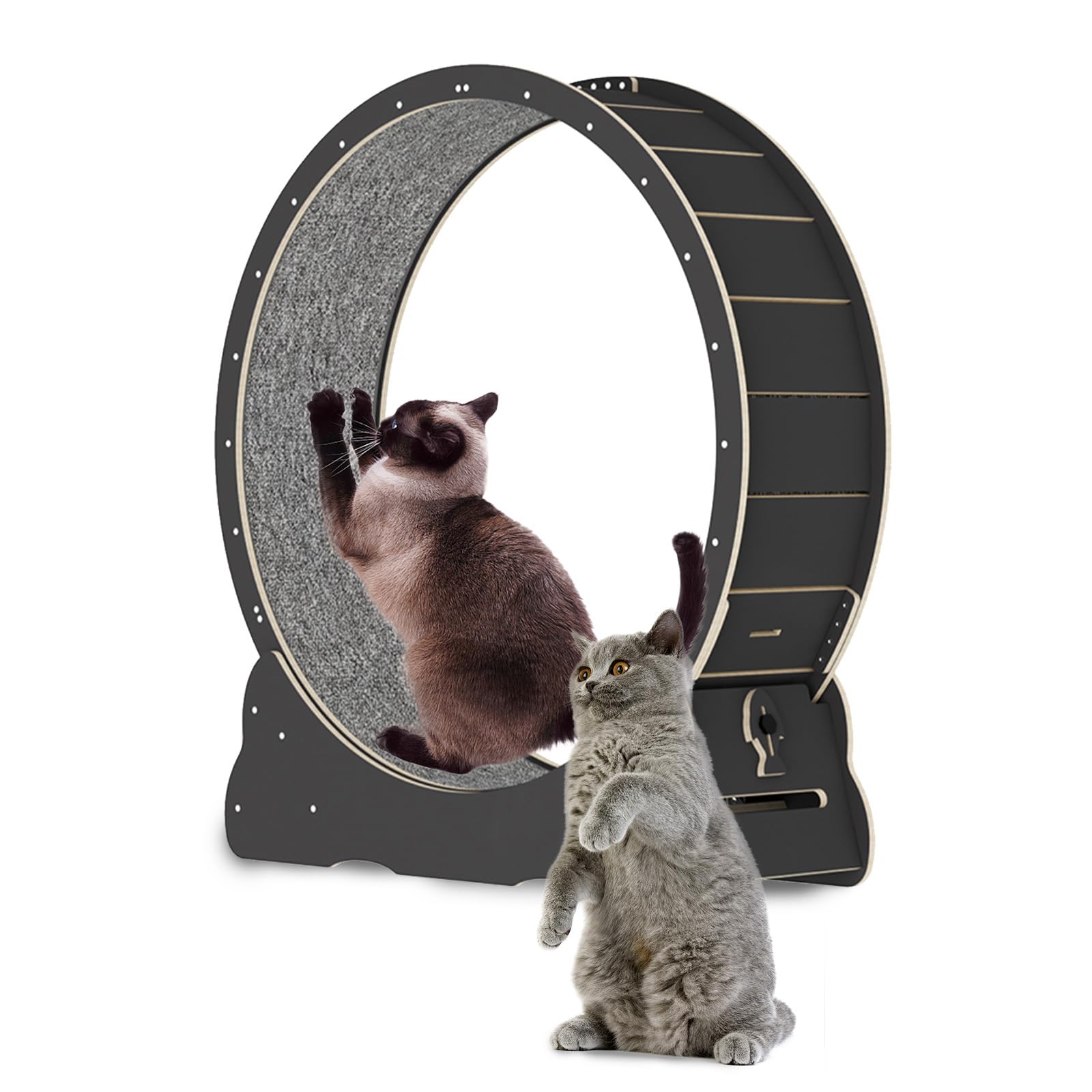 Generic Indoor Cat Exercise Wheel, 39.3 Inch Black Cat Running Wheel, Walking Training Fitness Weight Loss Equipment with Locking and Minimum Clearance Design, Fits Most Cats, Black