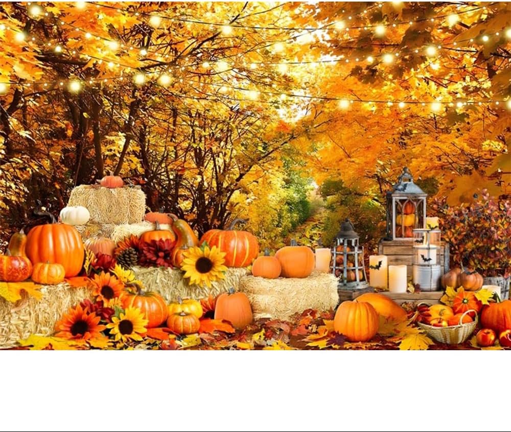 Fall Forest Scenery Backdrop for Photography 8x6ft Autumn Landscape Thanksgiving Day Leaves Pumpkin Sunflower Photo Background Fall Theme Birthday Baby Shower Party Decorations Banner
