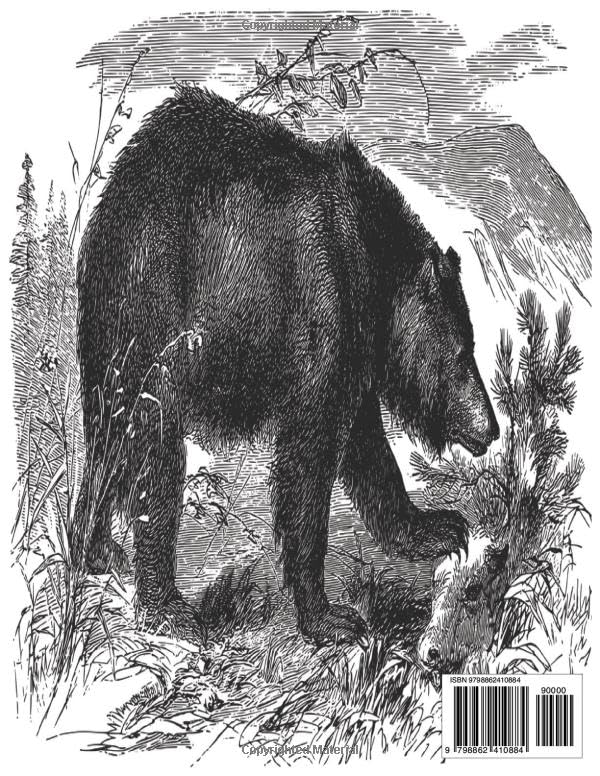 California Wildlife Coloring Book: Relaxing Coloring Book for Children and Adults - Image 2