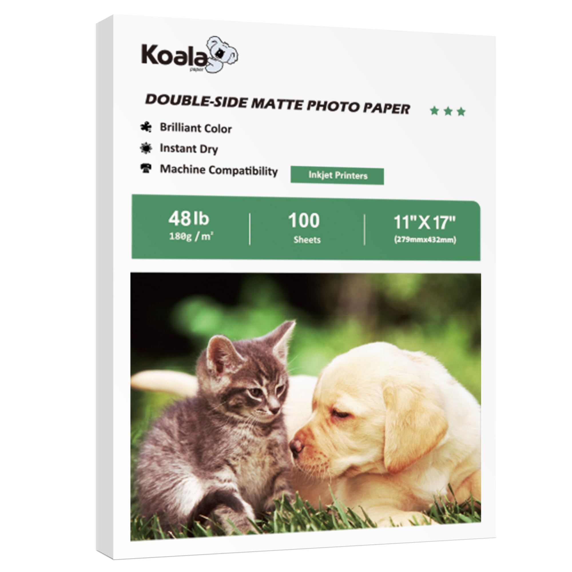 Koala Fotopapier, doppelseitig, matt, 27,9 x 43,2 cm, kompatibel mit Tintenstrahldruckern, 21,8 kg, für Präsentationen, 100 Blatt, 180 g/m²