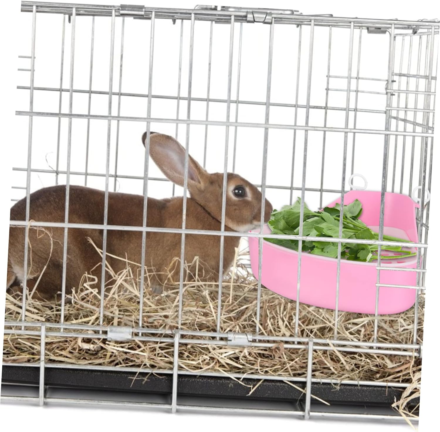 Levemolo Plastic Rabbit Toilet Box Litter Pan for Chinchilla Small Animal Potty Easy-Clean Design Fixed for Pet