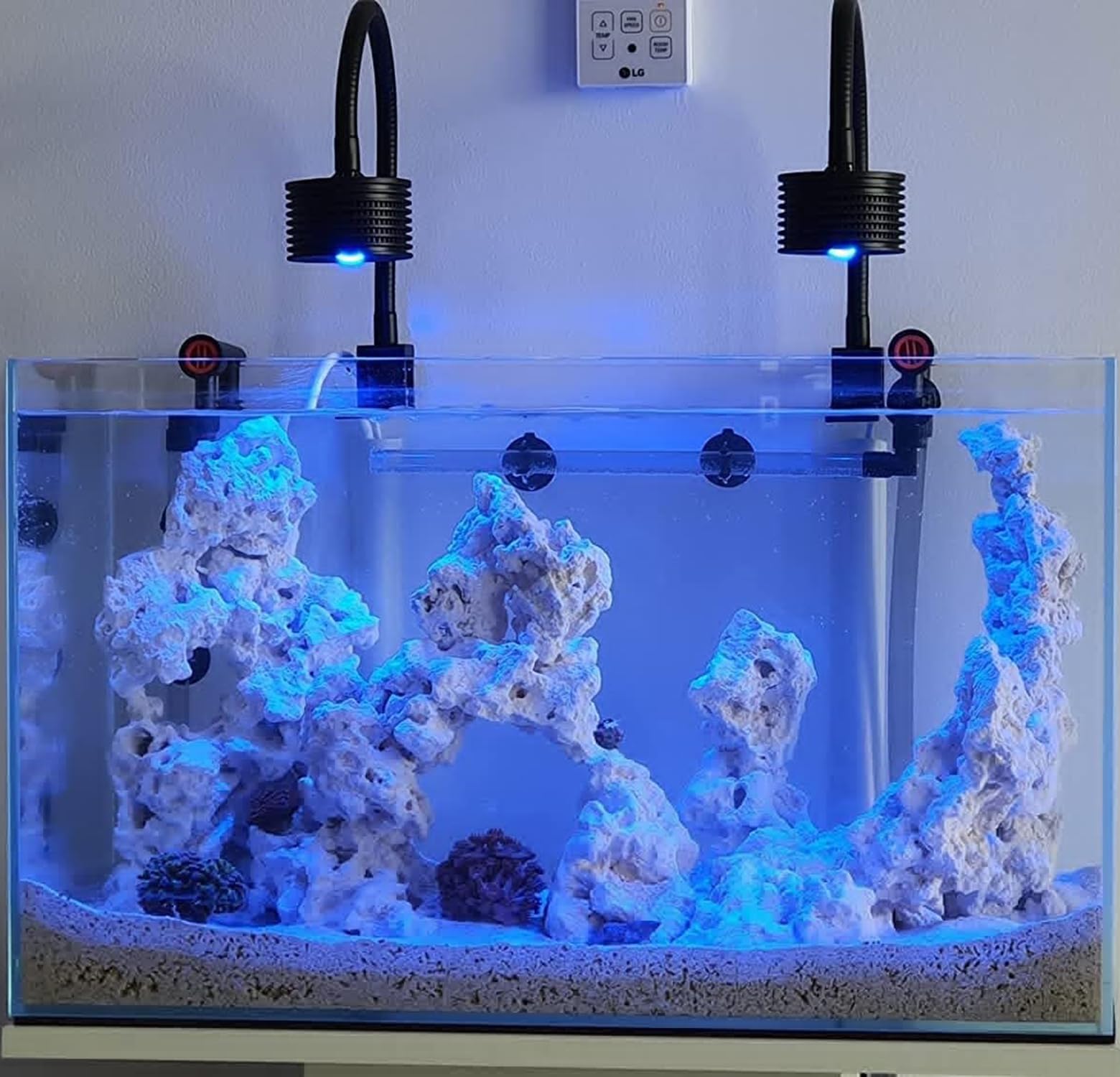 水槽　ライト　海水魚 海水魚水槽がきれいに見える｜おすすめライトとLED照明のメリット