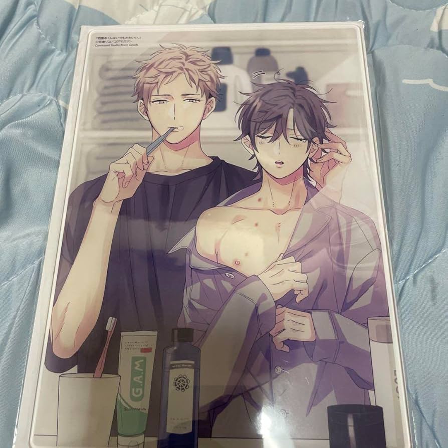 BL 漫画　嫌いでいさせて　夜画帳　25時、赤坂で　西園寺くんはいつもかわいい Amazon.co.jp: 西園寺くんはいつもかわいい : おもちゃ