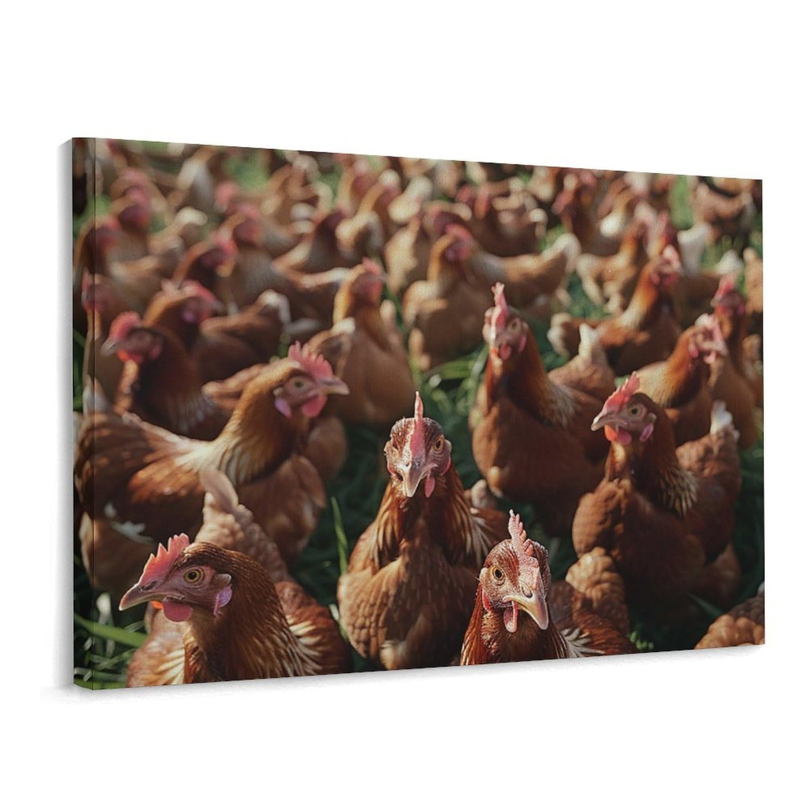 MXDLKSWPOH Canvas Wall Art for Living Room Prints Aesthetic Poster Canvas Paintings Prints Brown Chickens Pictures ArtWork Office Wall Decor Modern Abstract Wall Art for Bedroom Home Decor 30x40 Cm