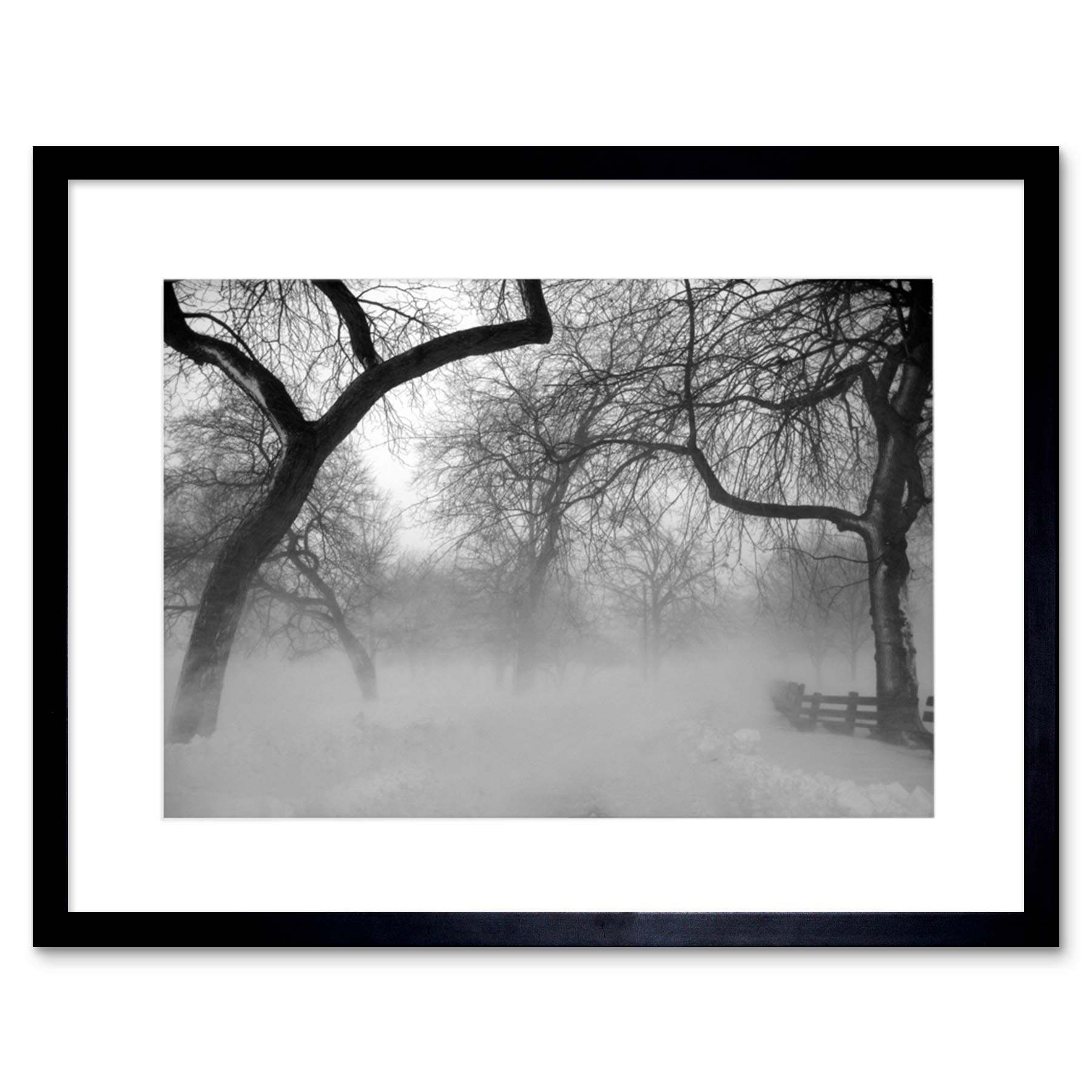 Wee Blue Coo Nature Landscape Forest Snow Fog Ice Winter Black White Framed Wall Art Print