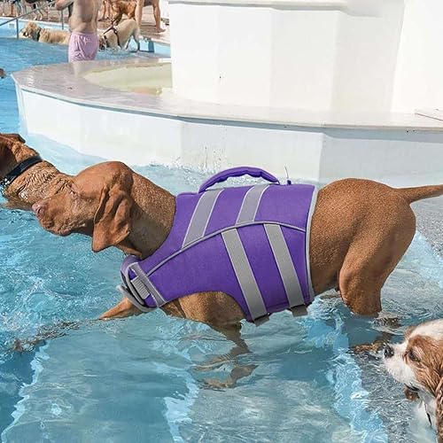 Vista 6 de Partyreal CA14997 1# rojo