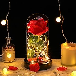 TOJUNE Glass Preserved Eternal Real Rose, Birthday for Her Women Gifts Artificial Rose with DIY Led Light, Beauty and The ...