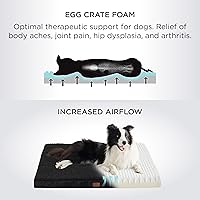 Vista 3 de Bedsure Cama mediana para perros medianos. Cama ortopédica impermeable para perros con funda extraíble lavable, alfombrilla de espuma para mascotas