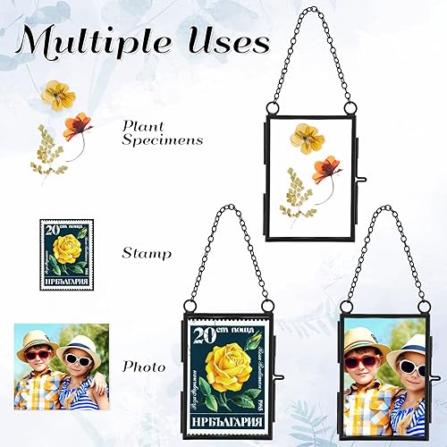 Miniatura 7 de 8 marcos de vidrio doble para flores secas prensadas de 3.5 x 2.5 pulgadas, marcos de fotos flotantes colgantes de metal, marco de espécimen de