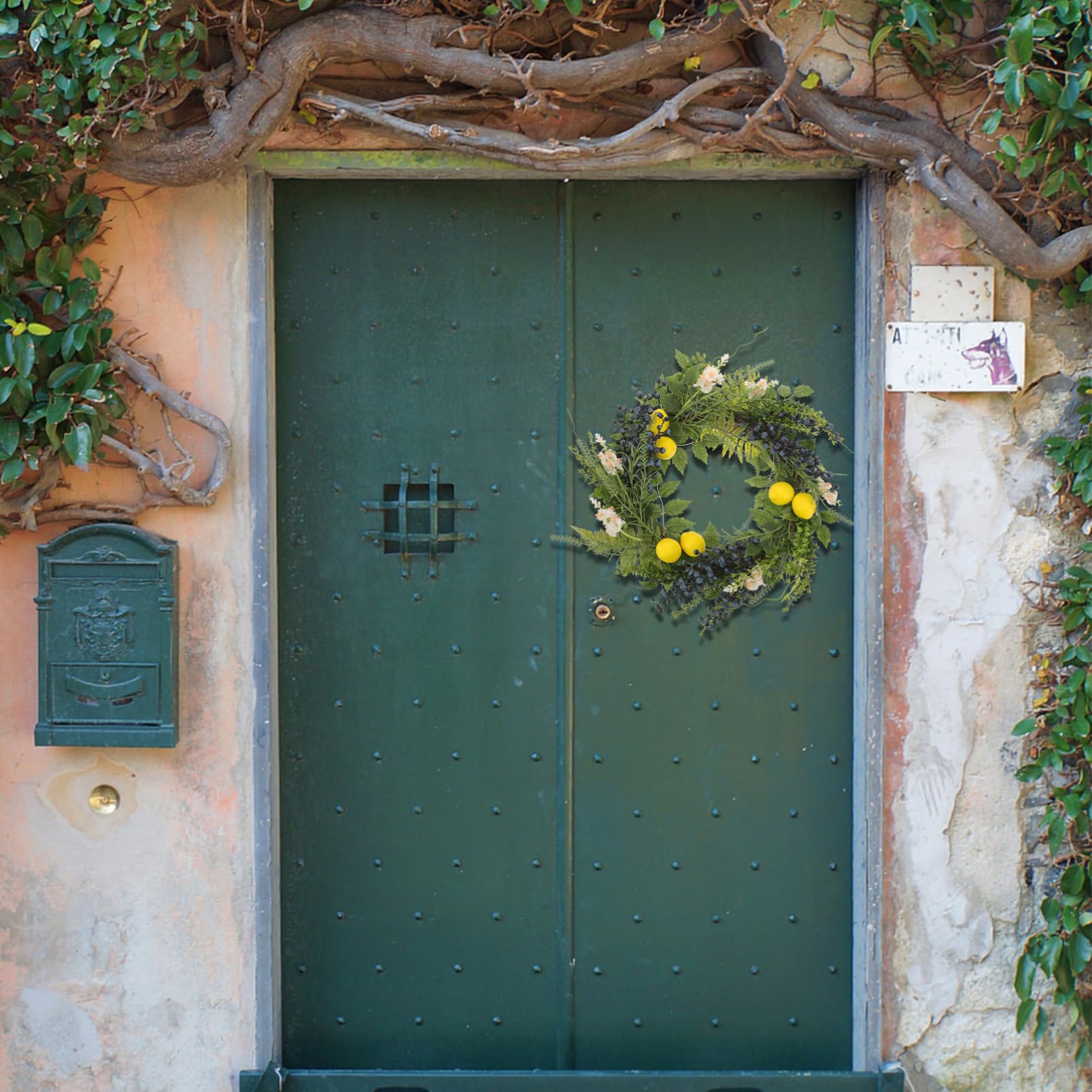 Cabilock Ghirlanda Artificiale Limoni e Mirtilli Decorazione da Appendere per Porta d Ingresso Ghirlanda Finta per Interni Ornamento Primaverile per Casa e Feste