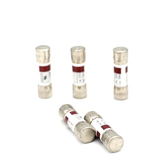 5PCS DMM-44/100 (DMM 44 100) 1000V Replace Acting Fuse (Fluke)