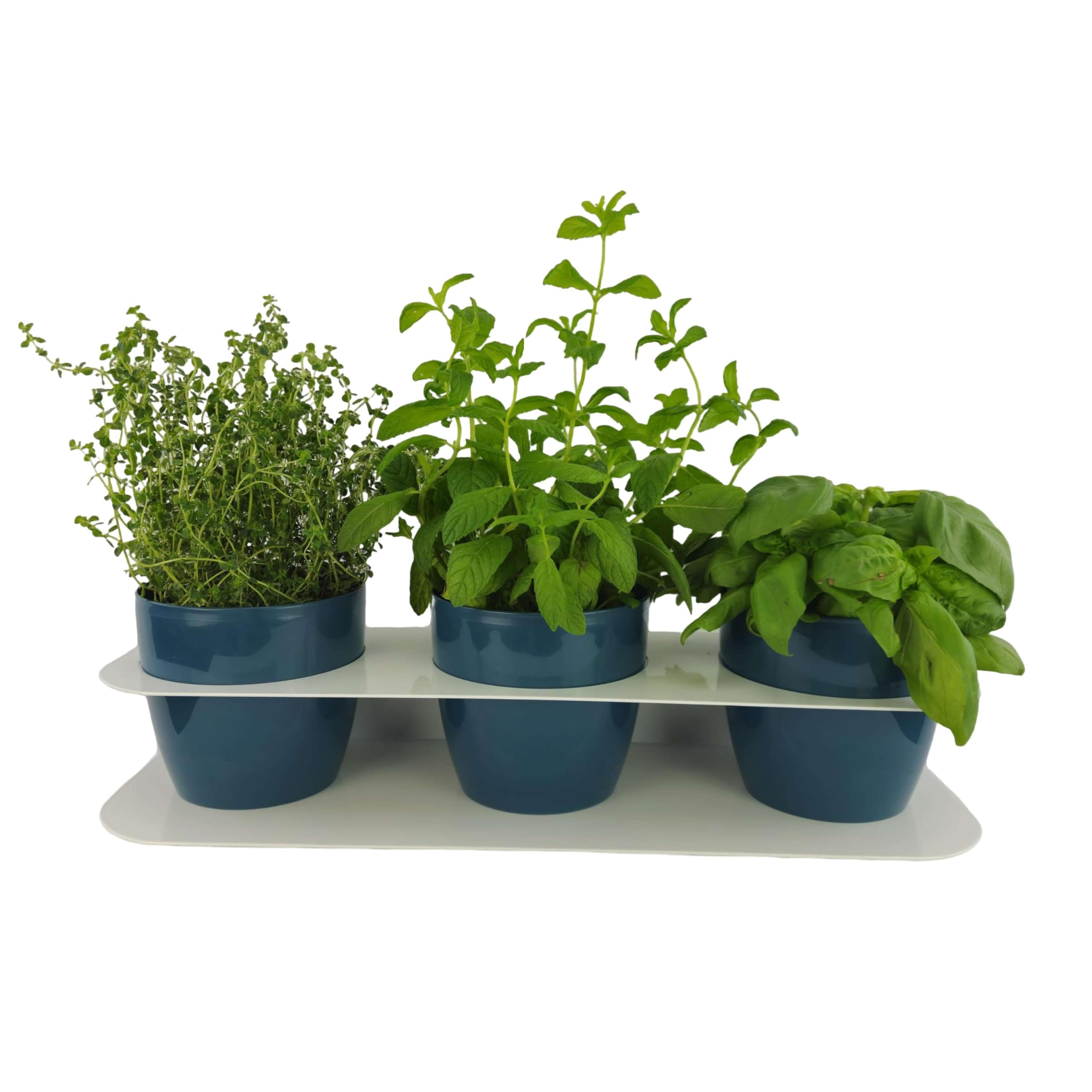 Tecnokit Porta Piante Aromatiche Metallo Design Moderno da Banco o Muro con 3 Vasi Tera Inclusi Ø16cm - Fioriera Interno Esterno Resistente UV 58x18x10cm (BIANCO/DENIM)