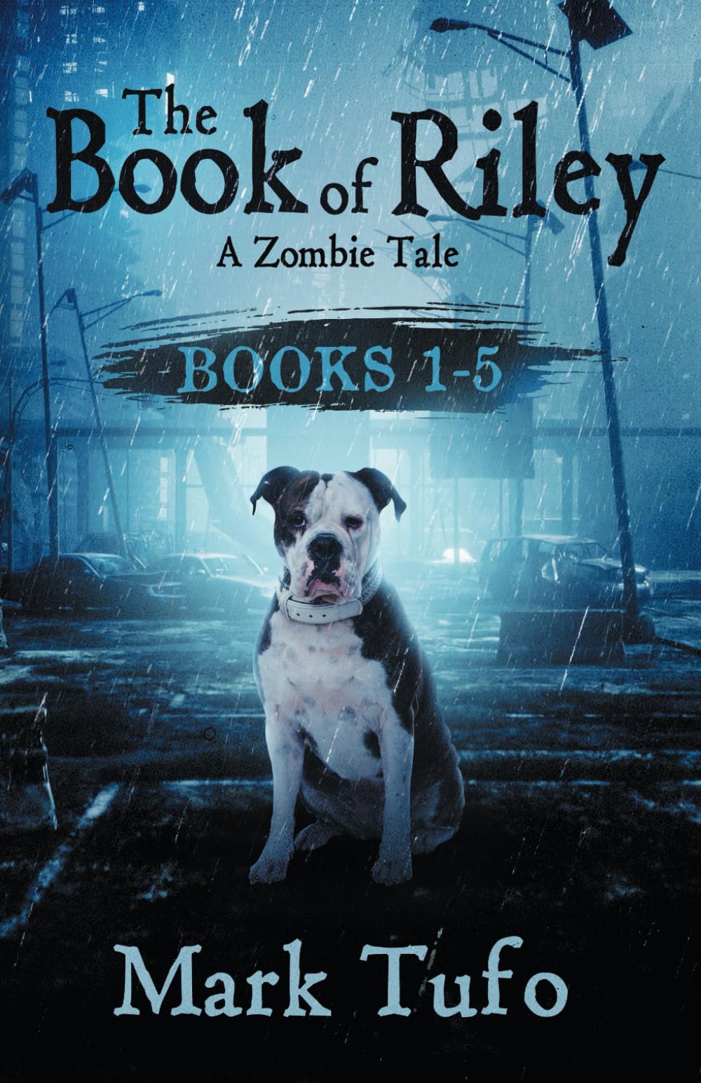 The Book Of Riley: A Zombie Tale Books 1-5