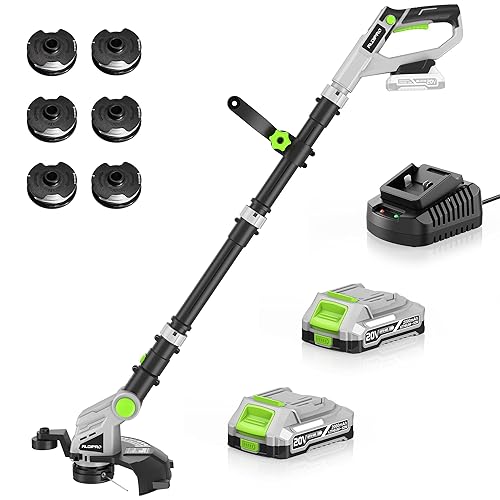 Weed Wacker Cordless 20V 12'' Electric Weed Eater with Auto Line Feed, 2 x 2.0Ah Battery and Fast Charger, 6 x Replacement Line, Battery Powered String Trimmer for Lawn Care, GrassTrimmer (AD-ST-002) - 2 x 2.0AH Battery+6 x Replacement Line