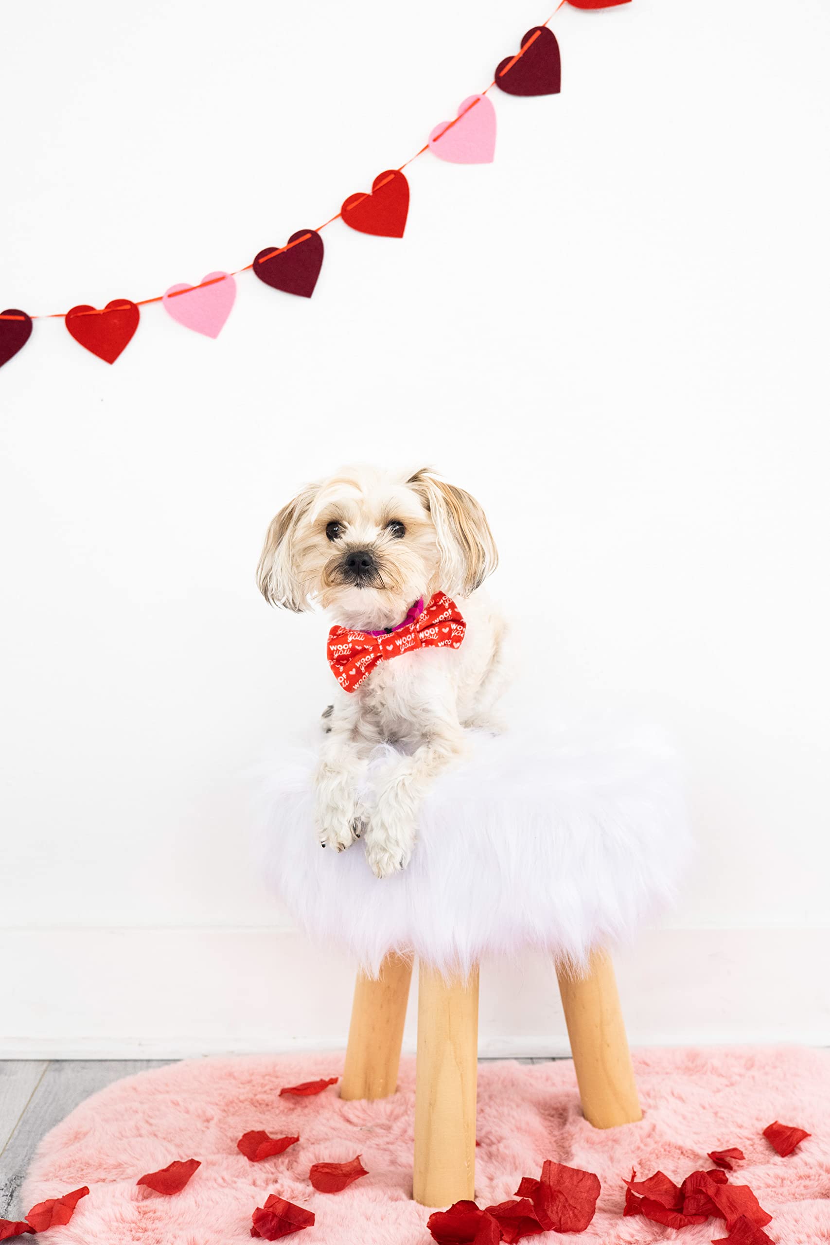 Pearhead Woof You Hearts Pet Bandana, Valentine’s Day Slide-On Dog Bandana, Dog Apparel, Pet Accessory, XS/S - Image 2