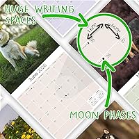 Vista 392 de Razas de Perros 2017