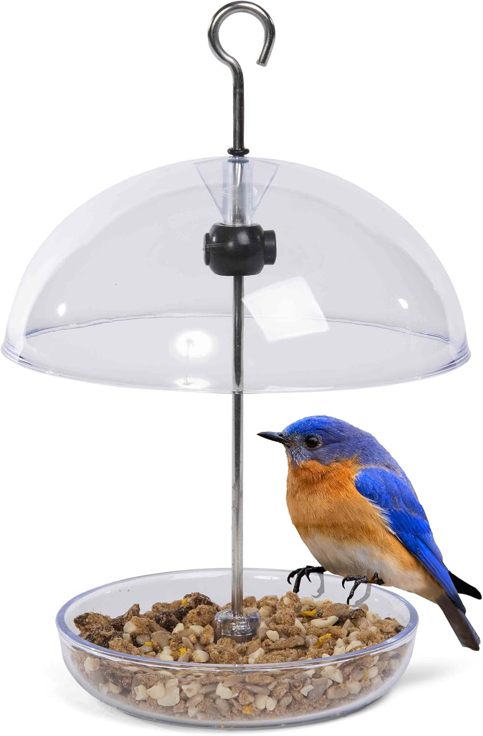 Bluebird Feeder Jacobi Jayne® Pearl Feeder Mini Dome Bird Feeder for Small Birds