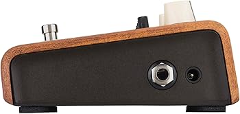 Amazon.com: L.R. Baggs Align Equalizer Acoustic Guitar Effects