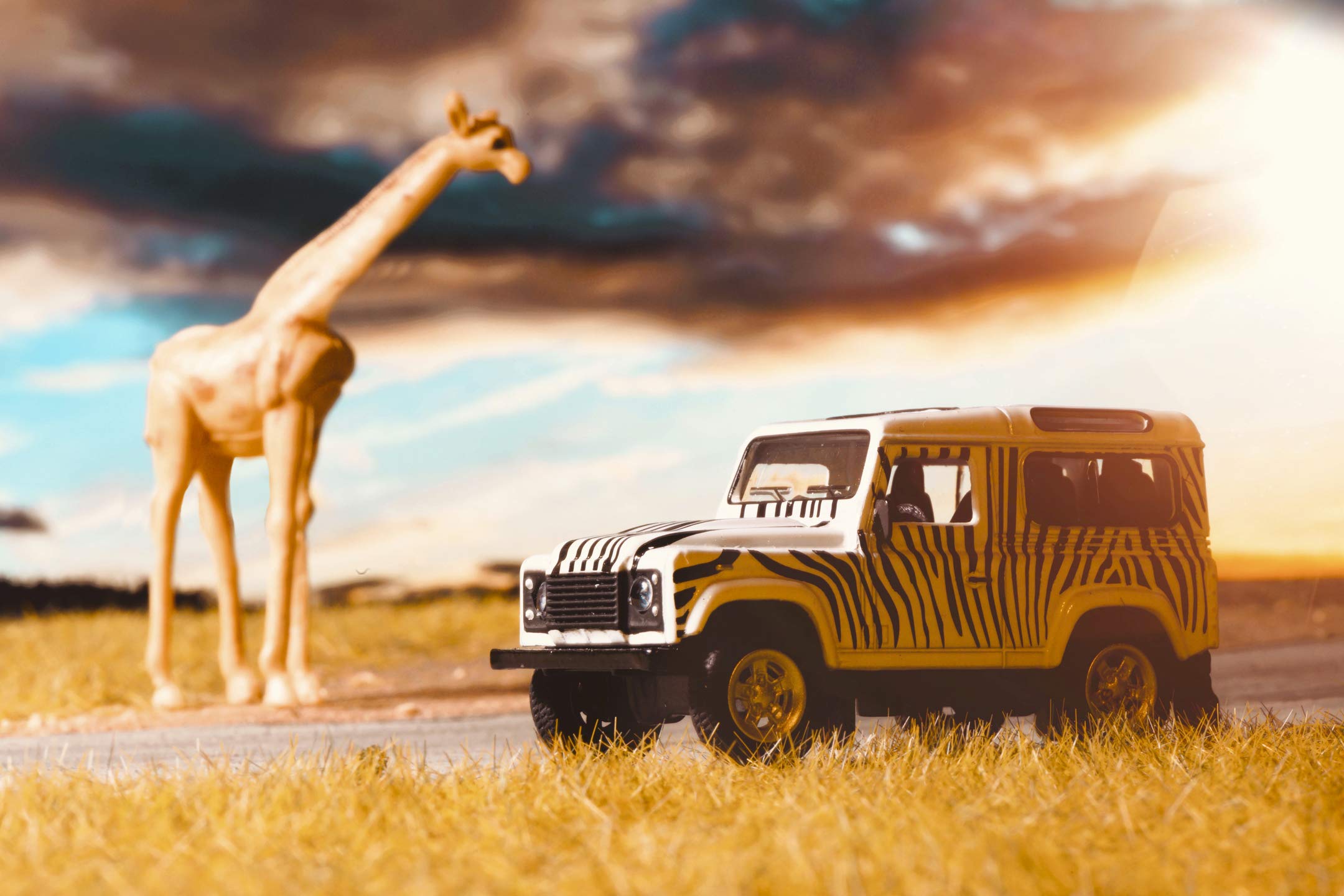 Schuco 452021800 Land Rover Safari Defender 1:64 Scale Zebra Model