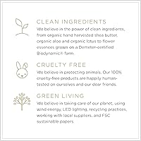 Vista 7 de Zents Vela perfumada de cera de soja (mandarina - jengibre, mandarina y vainilla), tarro grande de una sola mecha, acento edificante para decoración