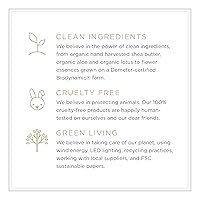 Vista 7 de Zents Attar Fragancia Concentrado (Fragancia Figa) Perfume Roll-On y aromaterapia Aroma de larga duración para viajes Aceites esenciales