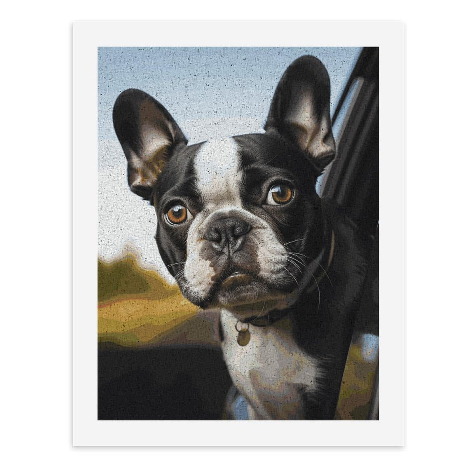 STVNKML Puppy Dog Boston Terrier Paint by Numbers Kit for Adults Beginners DIY Adult Paint by Number Kits on Canvas Digital Oil Number Painting Kits for Home Decor Gift 40x30cm