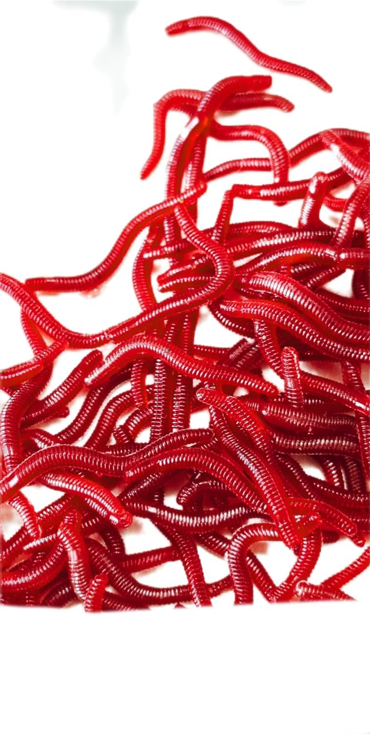 Vasa Earthworm Hook Lure Grub for Fishing Artificial Blood Type Bait Tackle Soft Worms for Fish Food, Brown Colour, 4 cm Long (50) 4