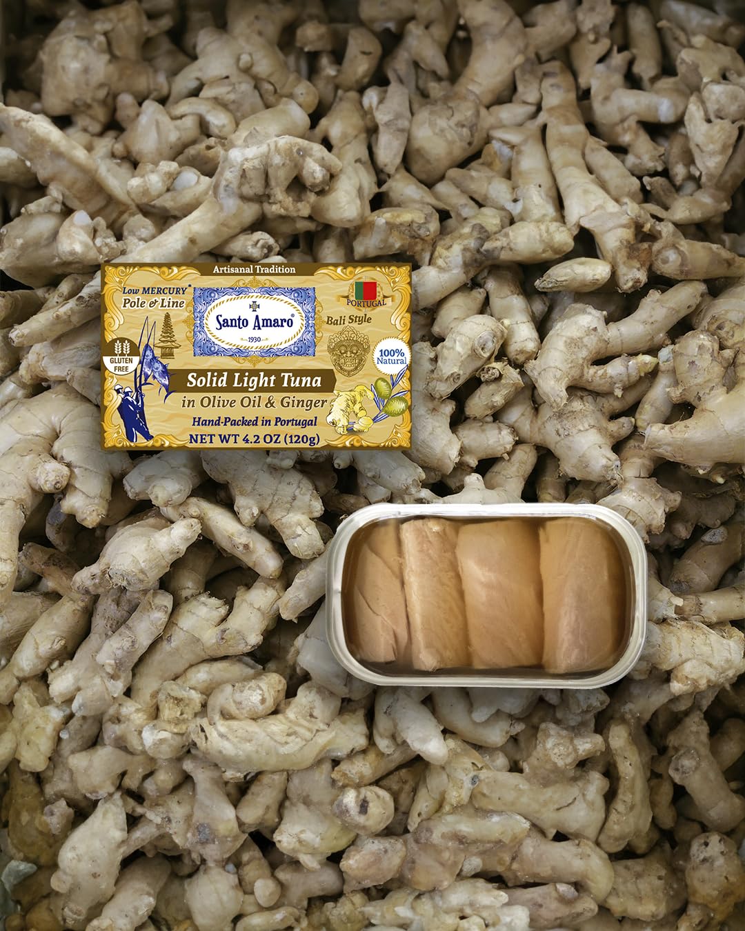 Santo Amaro - Artisanal Wild Tuna Fillets in Olive Oil & Ginger, Pole & Line Wild Caught Tuna from Portugal, Hand-Packed Bali-Style Canned Tuna Fish, 22g Protein, Paleo, Keto, Low Mercury, Pack of 6