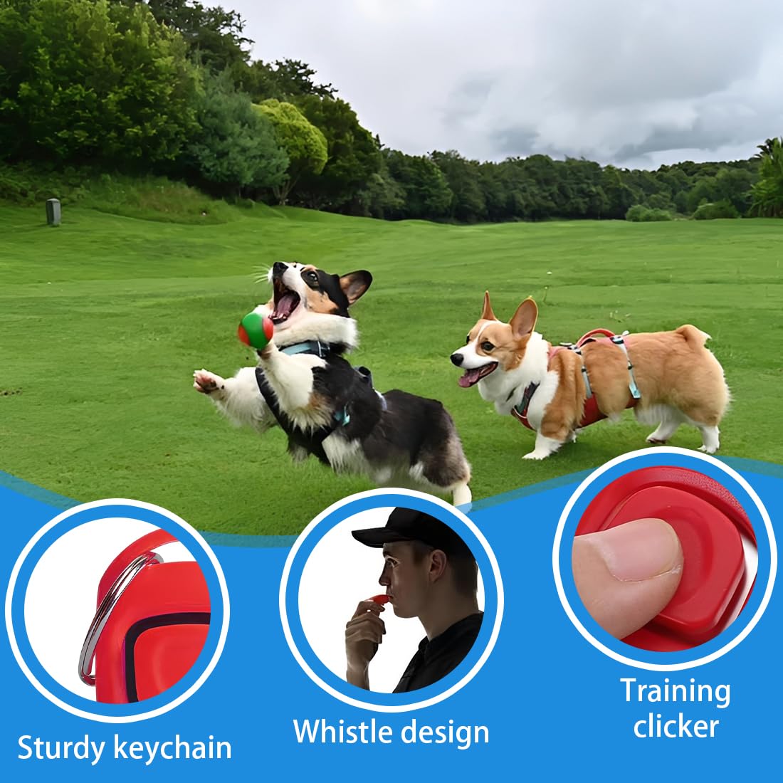 2 Pezzi Clicker Per Cani Clicker Addestramento Clicker Con Fischietto 2 In 1 Clicker Plastica Per Addestratori Animali Domestici Gatti Addestramento Richiamo Rosso Bl