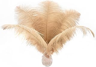Sponsored Ad - Ballinger Champagne Ostrich Feathers Bulk - 24pcs 10-12inch Boho Feathers for vase and Home Decor Wedding P...
