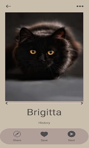 Gerador de nome de gato