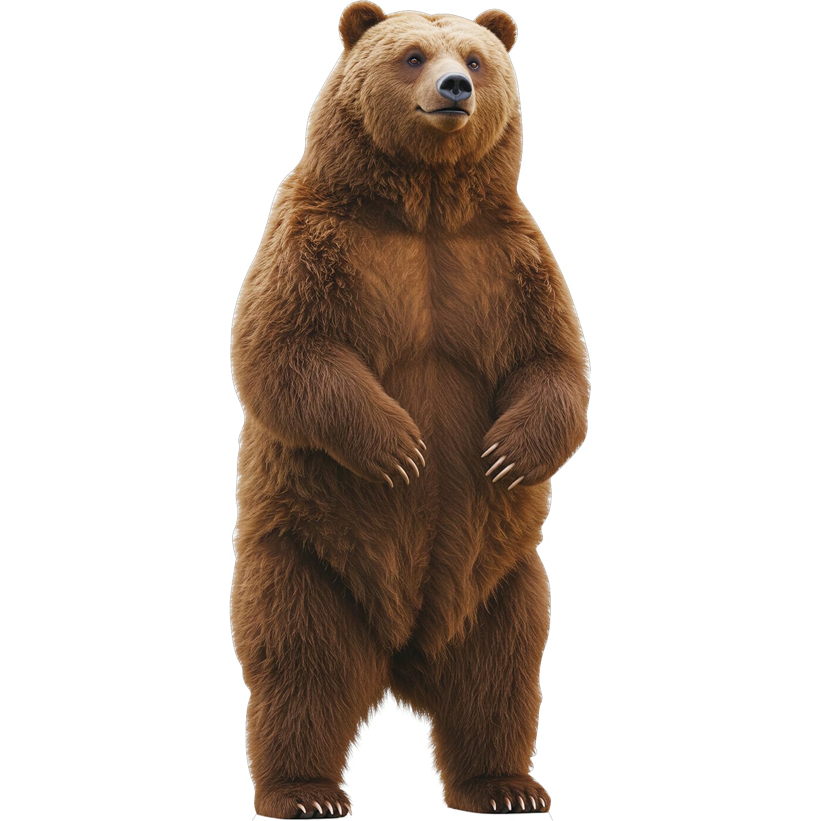Brown Bear1 Life Size Cardboard Cutout Animal Standup, 1FT, 1 PC
