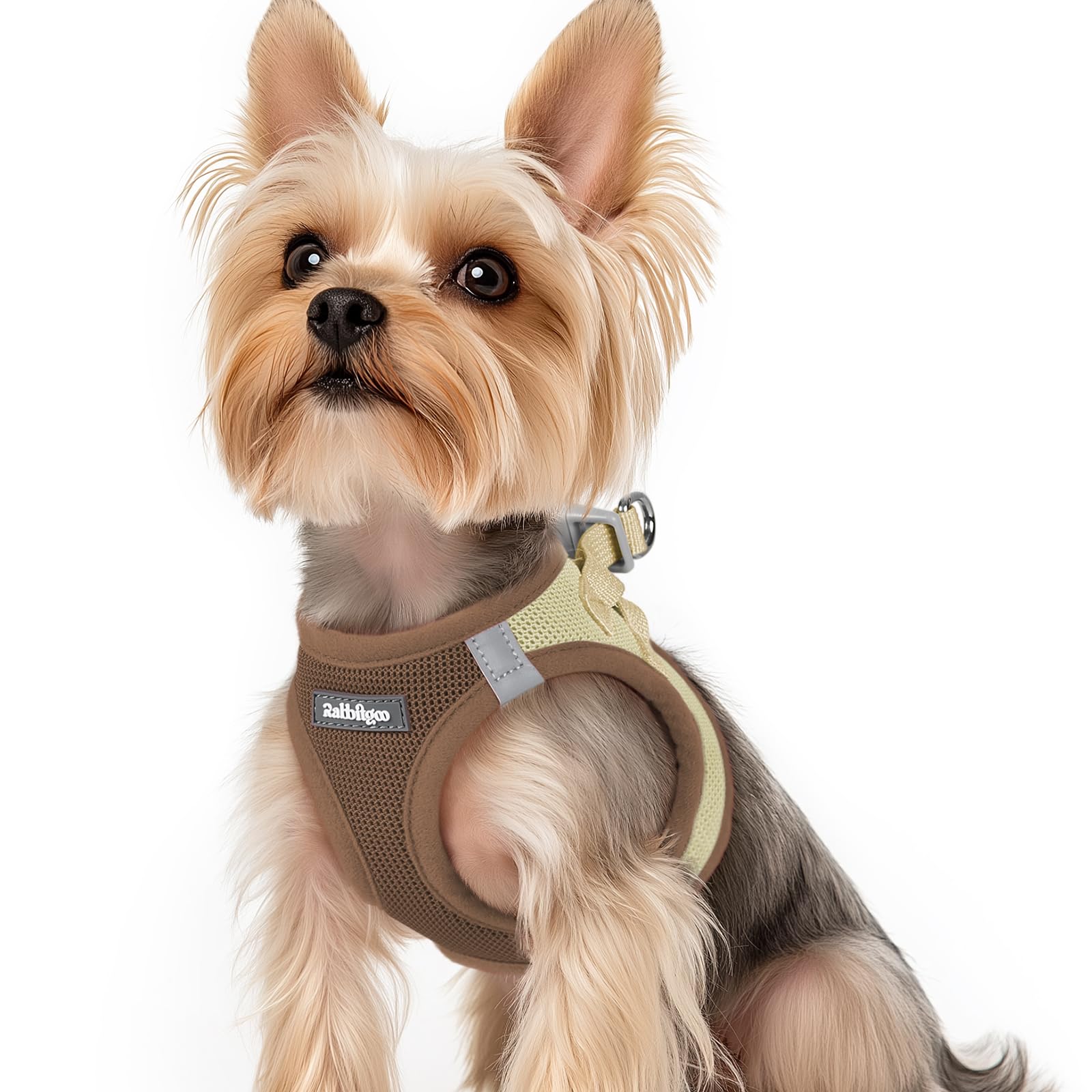 rabbitgoo Hundegeschirr kleine Hunde, Step-in Soft Mesh Hundegeschirr mit Sicherheitsverschluss, atmungsaktives und reflektierendes Welpengeschirr für kleine Hunde