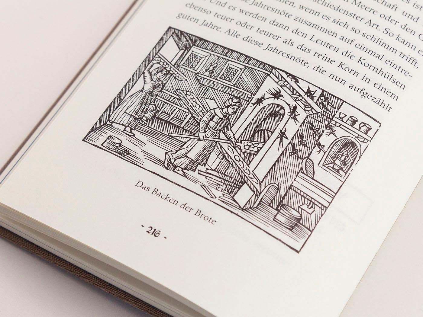 Der Königsspiegel: Fahrten und Leben der alten Norweger, aufgezeichnet im 13. Jahrhundert (Die Andere Bibliothek, Band 417)