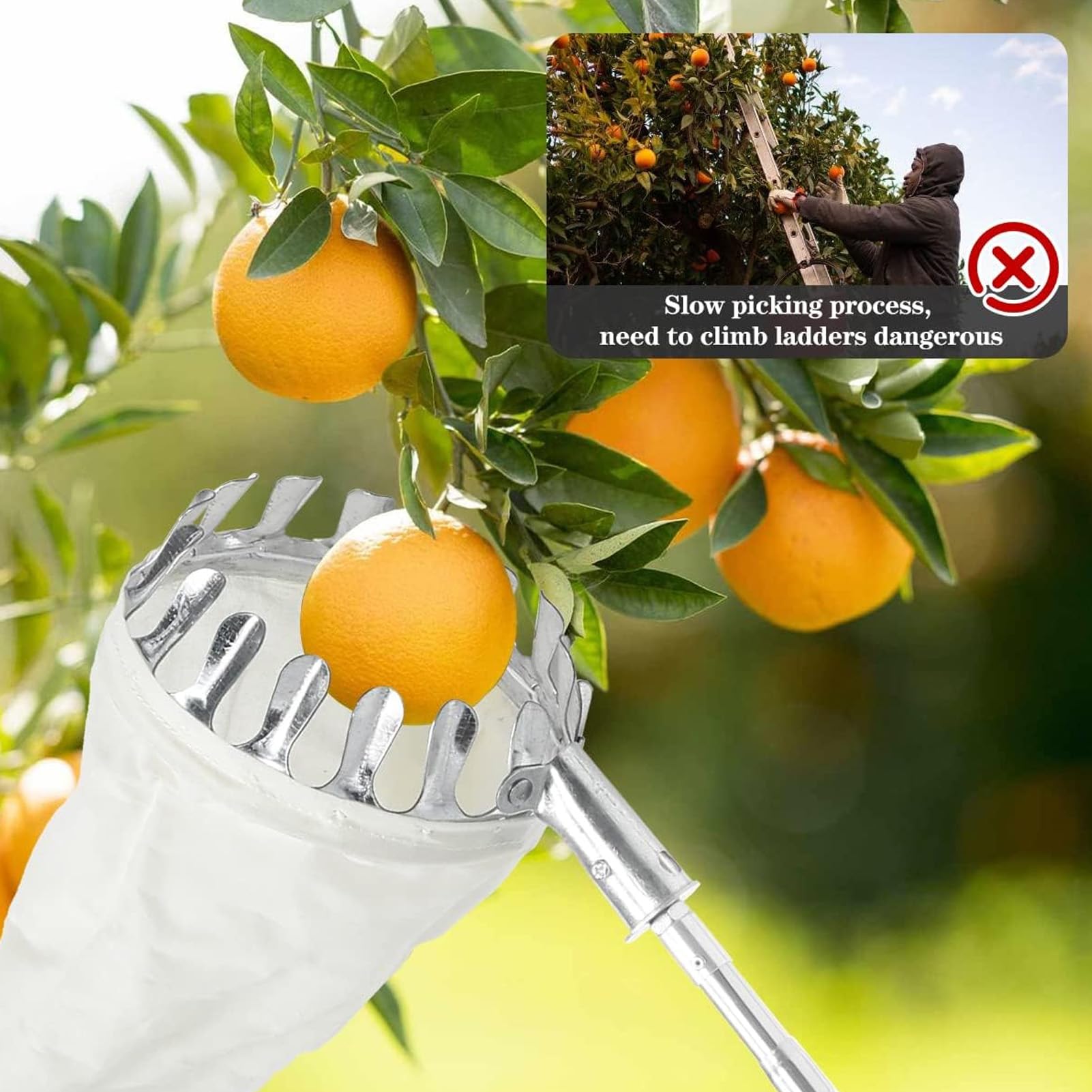 16 ft, Raccoglifrutta Telescopico,Raccogli Frutta Telescopico con Borsa in Cotone, Raccoglitore Frutta Extra Lungo per La Raccolta di Mele Arance Limoni Pere