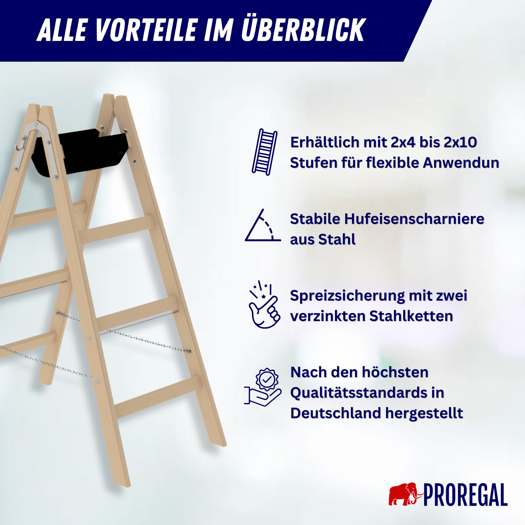 PROREGAL Escabeau en bois avec plateau à outils | 2 x 6 échelons | Échelle télescopique, escabeau, escabeau, échelle fixe, double échelons