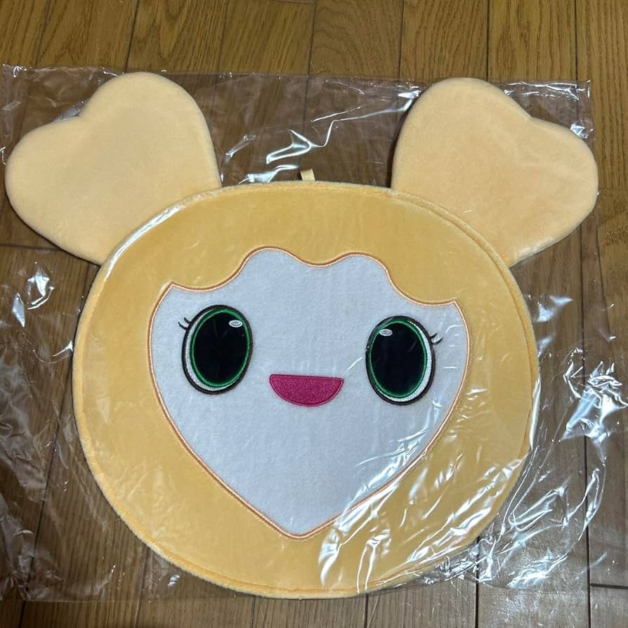 韓国限定 TWICE THIS IS FOR うちわ カバー セット ジヒョ ジヒョ うちわ 韓国限定 TWICE THIS IS FOR 仁川 ソウルコン