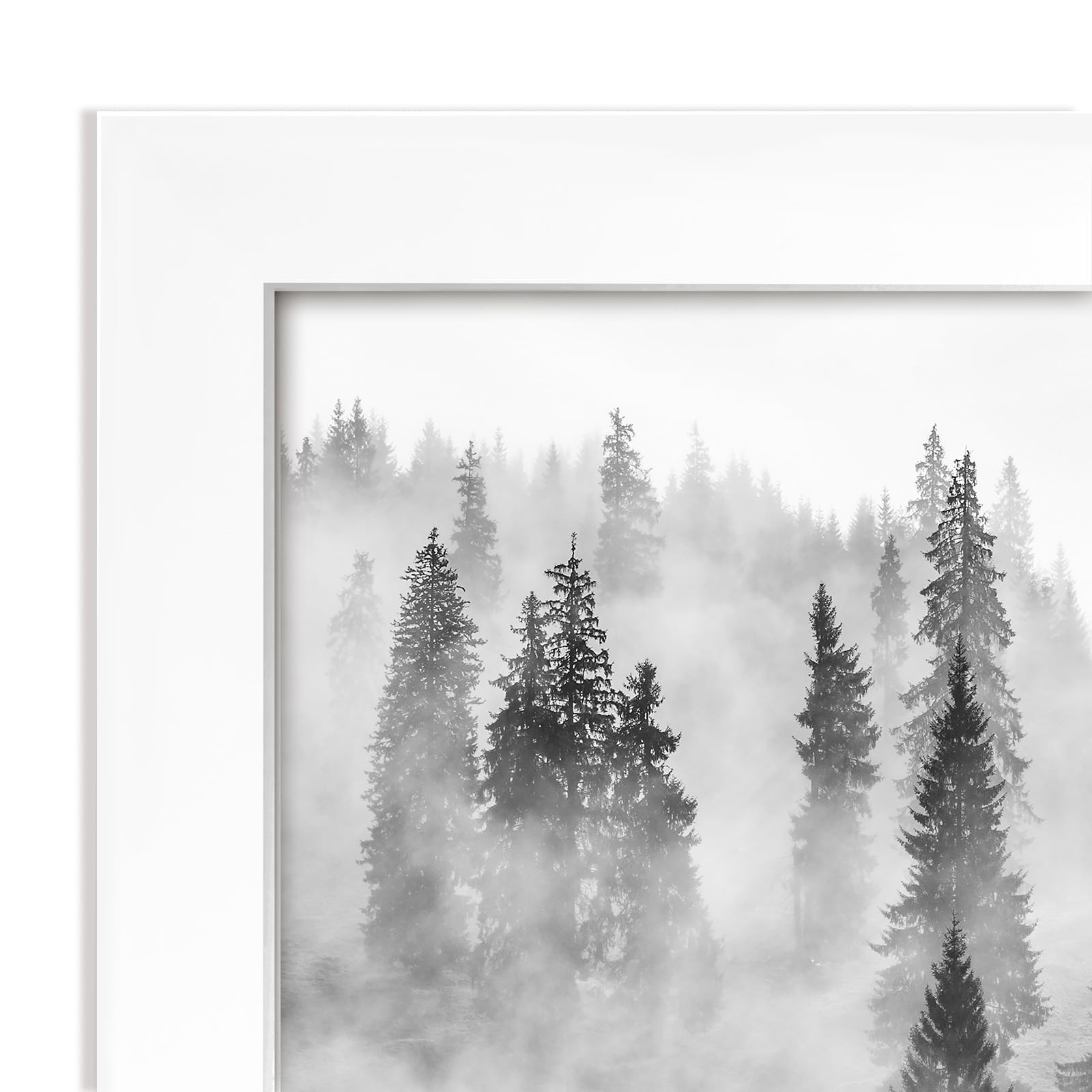 https://m.media-amazon.com/images/I/717WdmuixNL.jpg
