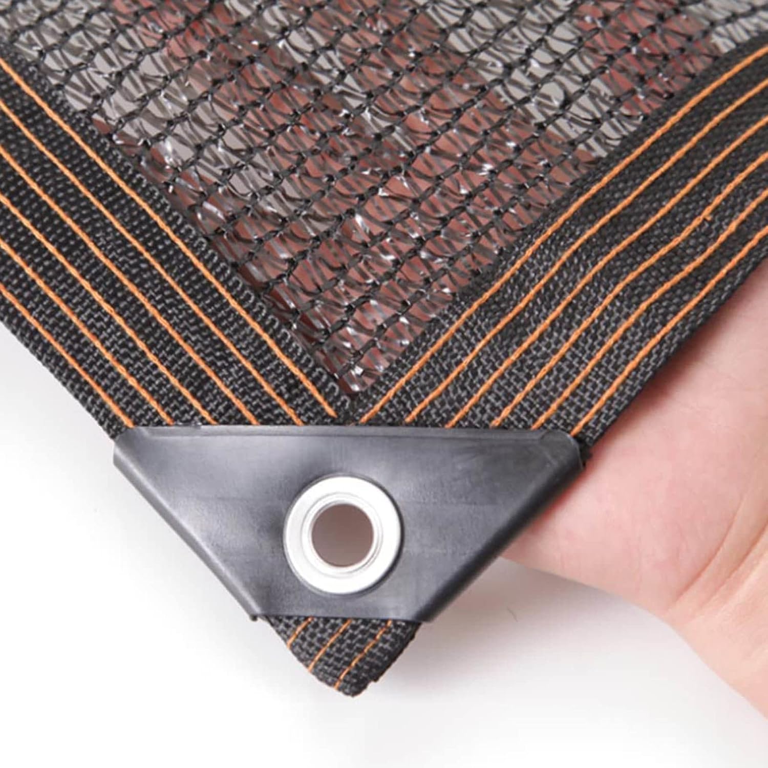 三浦貞雄【ノートルダム大聖堂 】 多田美波(多田美波 著) / 古本、中古